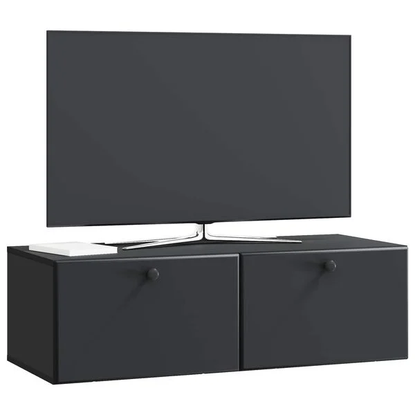 vidaXL Wandmontierter TV-Schrank 98 x 41 x 30 cm Schwarz Holzwerkstoff