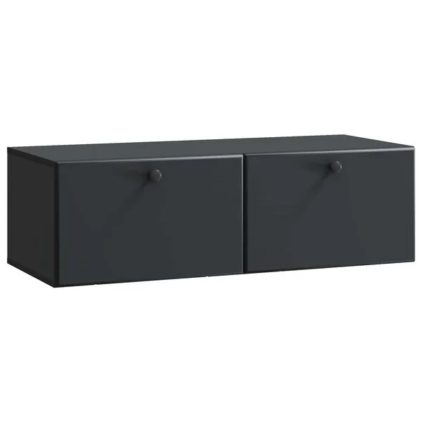 vidaXL Wandmontierter TV-Schrank 98 x 41 x 30 cm Schwarz Holzwerkstoff
